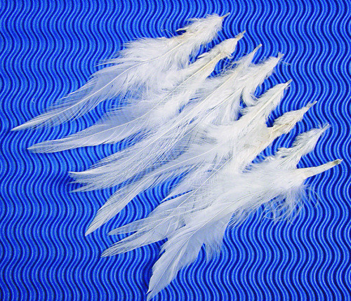 Φτερά σκέτα