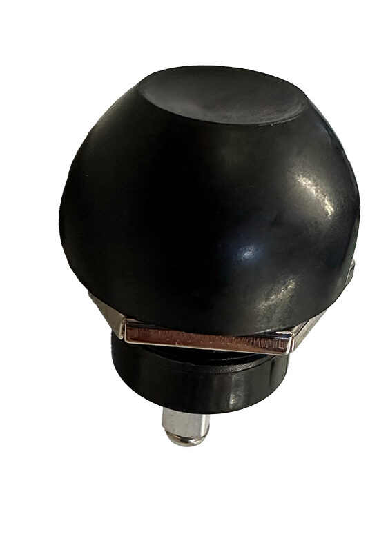 Μπουτόν κόρνας