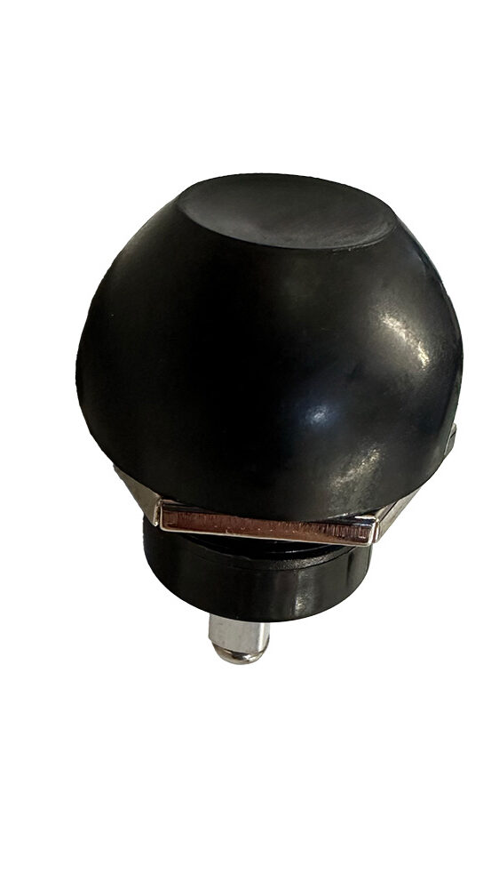 Μπουτόν κόρνας