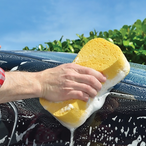 Alternative view of Σφουγγάρι πλυσίματος